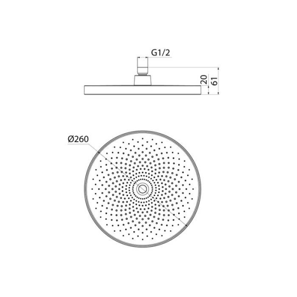 Душевая насадка IDDIS SpaHome верхняя круглая черная (SPA26BPi64)